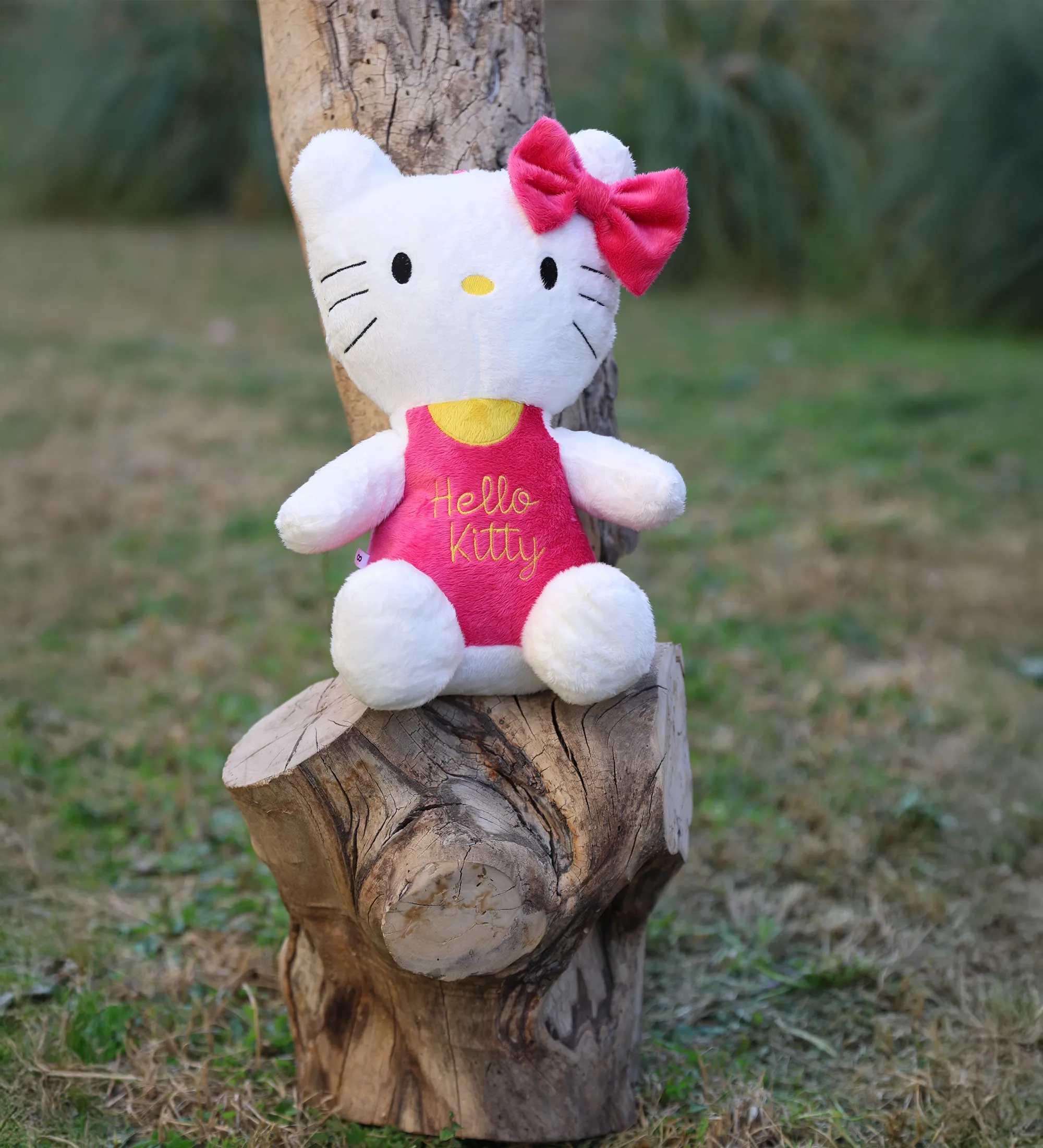 hello kitty peluş 3
